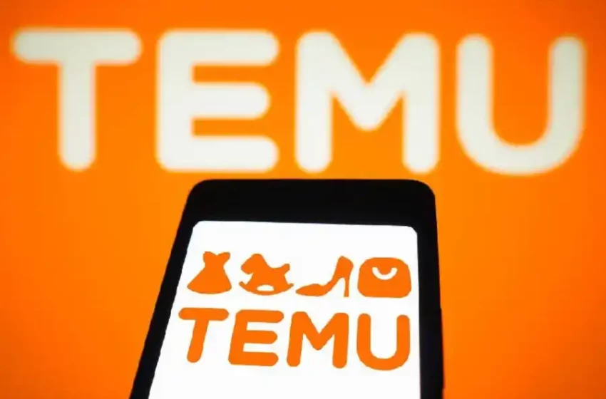 Temu gana terreno en Argentina con envíos gratis y precios bajos