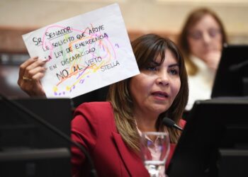 Mendoza pidió rechazar el veto a la Ley de Discapacidad: “Son derechos humanos básicos, no un ajuste fiscal”