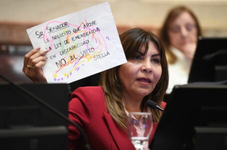 Sandra Mendoza en el Senado: “El Congreso debe garantizar que ninguna persona con discapacidad quede sin el acompañamiento del Estado”