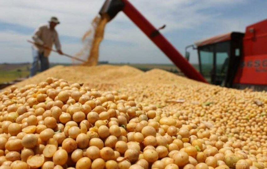 Se desplomó el ingreso de dólares del campo