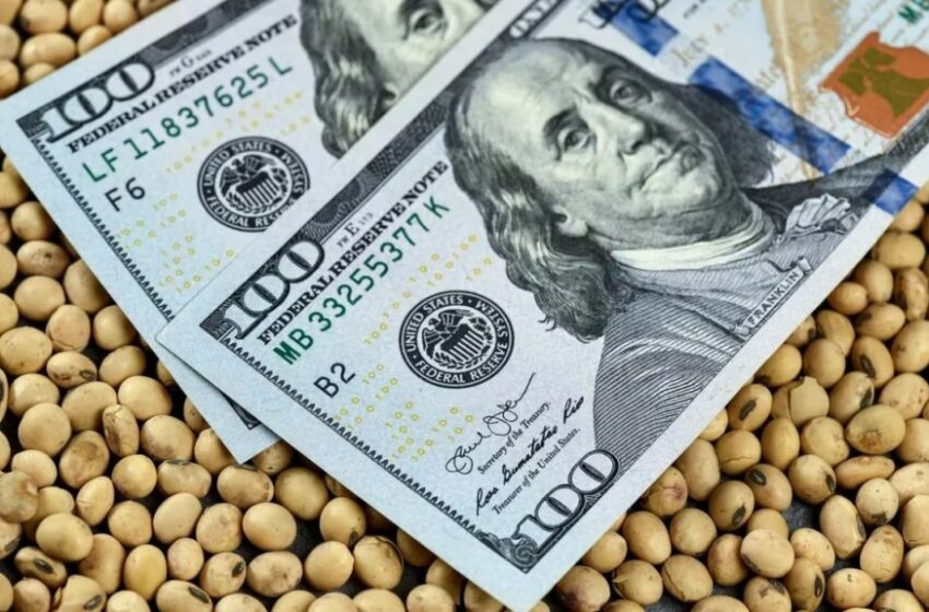 Arca cerró la registración del cupo de US$7.000 millones previsto por el decreto 682/2025