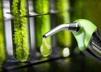 El Gobierno actualizó los precios del biodiésel y del bioetanol que se mezclan con combustibles fósiles