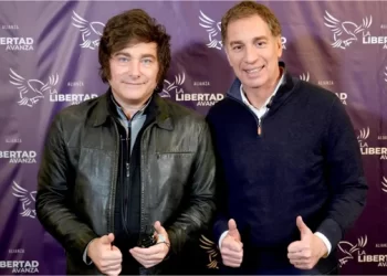 Elecciones legislativas: una treintena de diputados busca renovar su banca, pero solo una veintena tiene asegurada la reelección