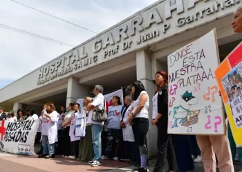 El Gobierno promulgó las leyes de financiamiento universitario y pediátrico, pero postergó su aplicación