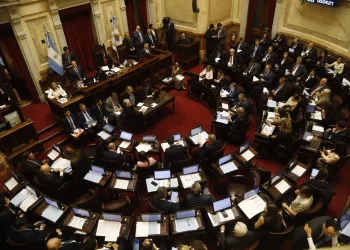 El Senado rechazará hoy los vetos presidenciales a la ley de financiamiento universitario y a la emergencia en pediatría