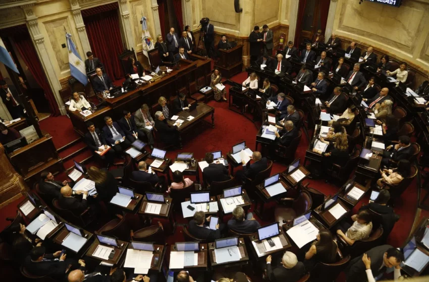 El Senado rechazará hoy los vetos presidenciales a la ley de financiamiento universitario y a la emergencia en pediatría