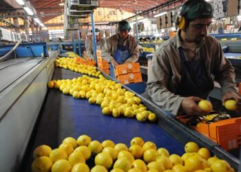 Tucumán sigue generando trabajo, incluso en tiempos difíciles