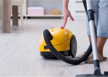 Cucarachas: por qué aparecen en casa y cómo eliminarlas de forma efectiva