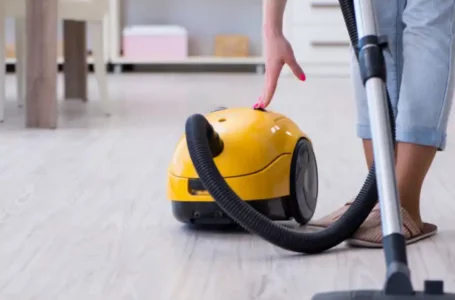 Cucarachas: por qué aparecen en casa y cómo eliminarlas de forma efectiva