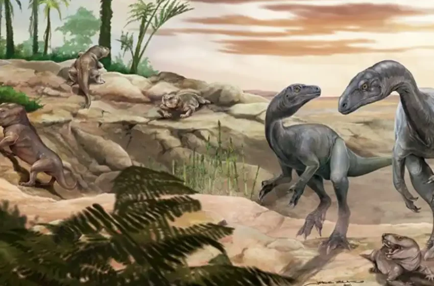 Descubren en La Rioja una nueva especie de dinosaurio de 230 millones de años: el Huayracursor jaguensis