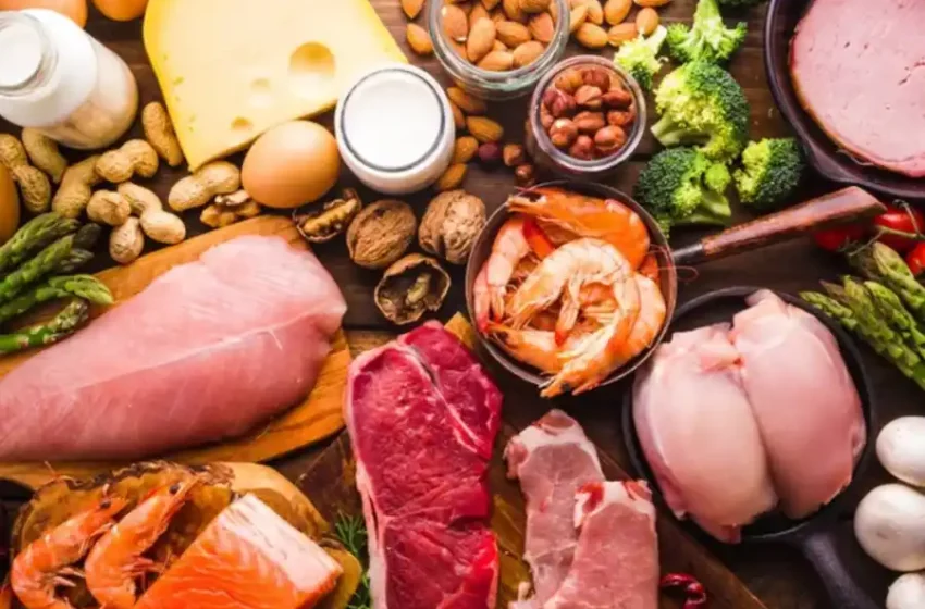 Alertan que el exceso de proteínas podría acelerar el envejecimiento y afectar la regeneración celular