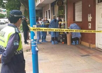 Un hombre fue atacado por una viuda negra en su casa de Santa Fe al 400 y permanece internado