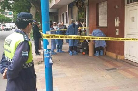 Un hombre fue atacado por una viuda negra en su casa de Santa Fe al 400 y permanece internado