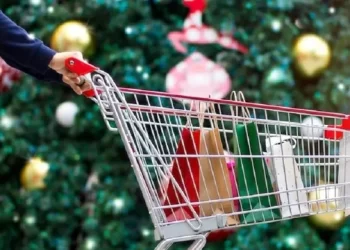 El estrés por la motosierra de Milei adelantó el clima navideño en los shoppings