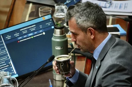 Nuevo mapa de poder en Diputados: asumen los 127 electos y Menem será reelecto