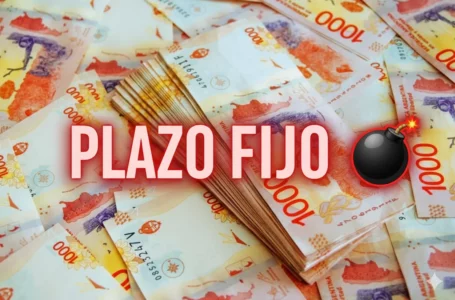 Plazos fijos: ranking de tasas banco por banco