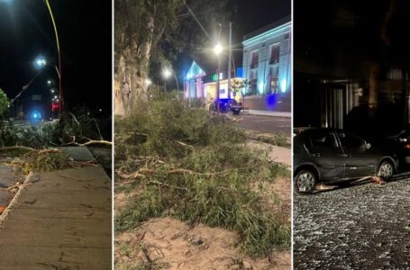 Una menor santiagueña murió cuando un enorme árbol cayó sobre la moto de su novio