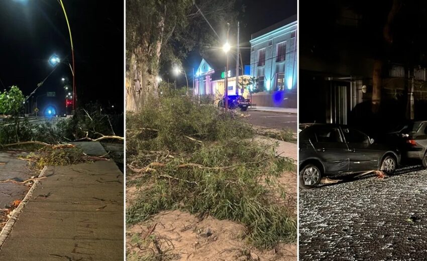  Una menor santiagueña murió cuando un enorme árbol cayó sobre la moto de su novio