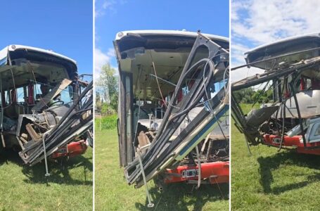 Ruta 38: un hombre murió tras un choque entre dos colectivos