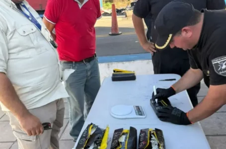 Envíos bajo la lupa: el avance del narcotráfico por encomiendas expone fallas de control en el NOA