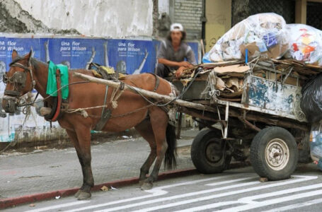 Fuerte debate por una polémica ley que aprobó la Legislatura pero el Ejecutivo nunca reglamentó