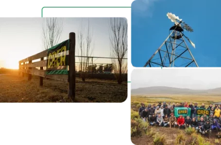 El campo espera por el plan Milei: la siembra será menor en 2026 y «no es buen momento para invertir»