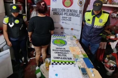 El rastro de un robo a un quincho en Aguilares condujo a un kiosco de drogas manejado por una mujer