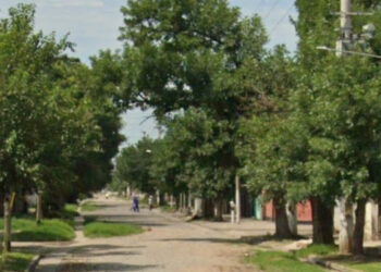 Murió una mujer que había sido baleada en la cabeza cuando trataba de poner a salvo a su hijo