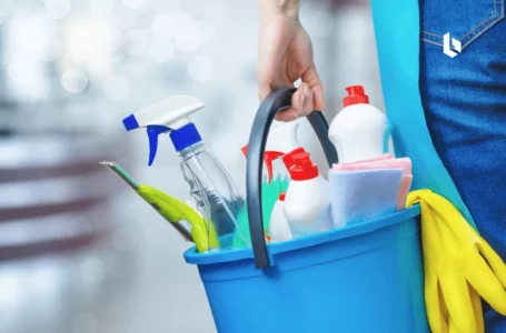 Las empleadas domésticas cobrarán un bono