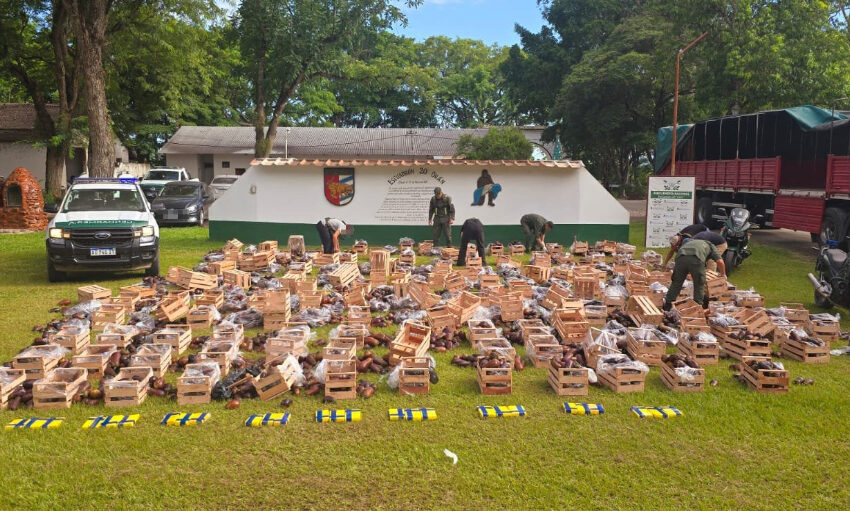  Descubren 31 kilos de cocaína ocultos en un cargamento de berenjenas en el norte de Salta