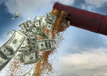 Proyectan cosecha récord de 154,8 millones de toneladas para la campaña 2025/26