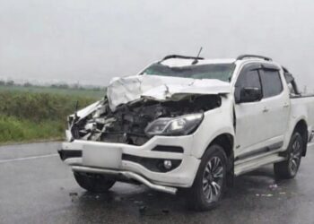 Ruta 38: una camioneta impactó contra un caballo a la madrugada