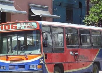 Chofer de la línea 106 se desvaneció mientras conducía, chocó y murió