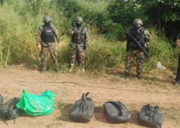 Simulaban ser agricultores y arrendaban fincas en el norte de Salta para ocultar la cocaína