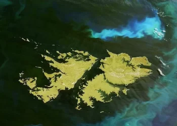 Javier Milei encabezará un acto de reconocimiento a Veteranos de Malvinas y familiares de caídos