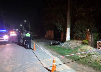 El Bracho: un joven motociclista murió tras estrellarse contra un poste