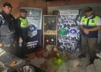 Allanaron una casa en Alberdi en busca de un celular robado y se dieron con una larga lista de objetos ilegales