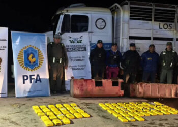 Secuestran más de 70 kilos de cocaína a bordo de un camión que se dirigía desde Salta hacia Tucumán
