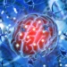 Llega a Argentina una terapia que es la primera innovación para gliomas en más de 20 años