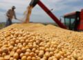 El agro liquidó US$2.495 millones en abril: leve baja interanual y repunte mensual