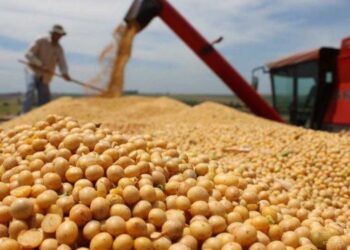 El agro liquidó US$2.495 millones en abril: leve baja interanual y repunte mensual