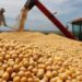 El agro liquidó US$2.495 millones en abril: leve baja interanual y repunte mensual