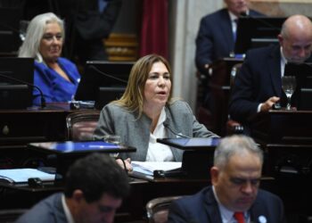 Beatriz Ávila destacó la aprobación de una reforma clave para agilizar la Justicia Federal en el NOA