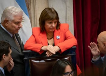 Crece la interna libertaria: apuntan contra Bullrich por una polémica decisión en el Senado