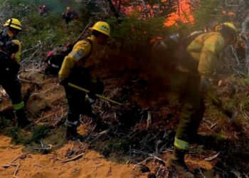 Salta: incendio forestal en Cafayate ya consumió cerca de 200 hectáreas
