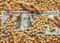 El agro liquidó más de US$ 2.600 millones en mayo, aunque los ingresos siguen por debajo de 2025