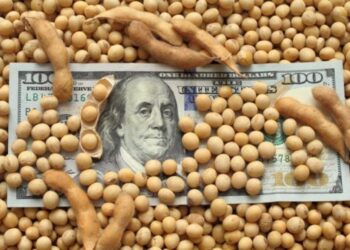El agro liquidó más de US$ 2.600 millones en mayo, aunque los ingresos siguen por debajo de 2025