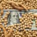 El agro liquidó más de US$ 2.600 millones en mayo, aunque los ingresos siguen por debajo de 2025
