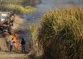 La Provincia fortalece la prevención de la quema de cañaverales y asistirá a pequeños productores