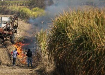La Provincia fortalece la prevención de la quema de cañaverales y asistirá a pequeños productores